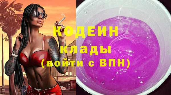таблы Бородино
