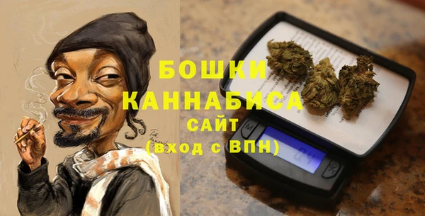 таблы Бородино